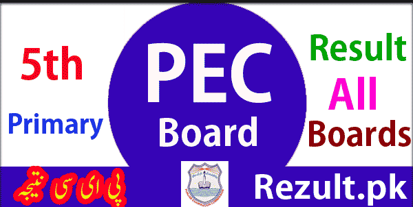 Punjab Examination Commission PEC Board 5th result 2025