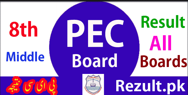 Punjab Examination Commission PEC Board 8th result 2025