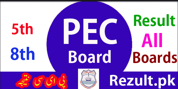 Punjab Examination Commission PEC Board result 2024