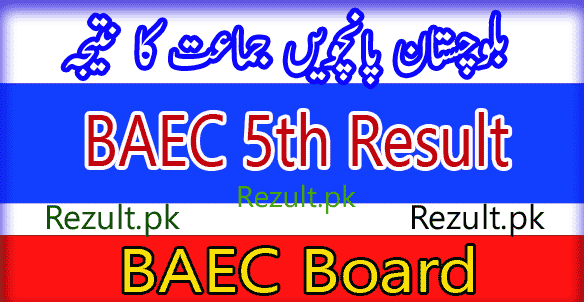 BAEC Board 5th result 2025