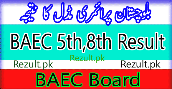 BAEC Board result 2024