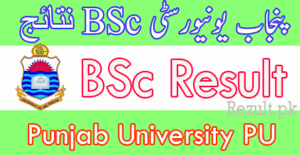 PU Bsc result 2025